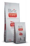 Brit Care Activity Lamb & Rice 12kg