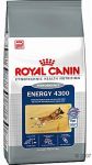 Royal Canin Energy 4300 15kg