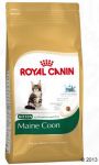 Royal Canin Feline Breed Kitten Maine Coon 36 400g
