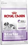 Royal Canin Giant Starter Mother & Babydog 15kg