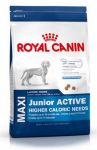 Royal Canin Maxi Junior Active 15kg