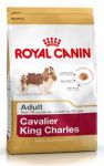 Royal Canin Cavalier King Charles 27 Adult 1,5kg