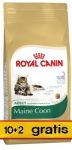 Royal Canin Feline Breed Maine Coon 31 PROMOCJA 12kg (10+2kg)