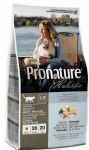 Pronature Holistic Adult Cat Indoor Skin & Coat - Atlantycki łosoś & ryż brązowy 340g