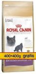 Royal Canin Feline Breed British Shorthair 34 800g (400+400g)