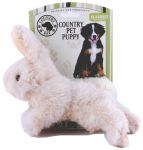 Country Pet Puppy Rabbit Królik [283023]