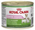Royal Canin Mini Starter pakiet 3x195g