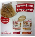 Royal Canin Feline Piękna Sierść MULTIPACK galaretka saszetki 4x85g