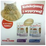 Royal Canin Feline Idealna Sylwetka MULTIPACK galaretka saszetki 4x85g