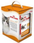 Royal Canin Feline Pudełko Hair & Skin 33 400g