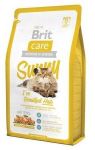 Brit Care Cat New Sunny I\'ve Beautiful Hair Salmon & Rice 400g